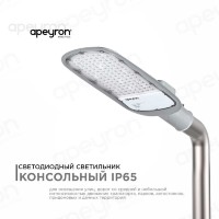 Консольный светодиодный светильник Apeyron 29-04