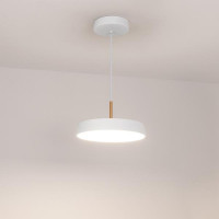 Подвесной светодиодный светильник Arlight Sp-Elegant-R300-17W Day4000 033919