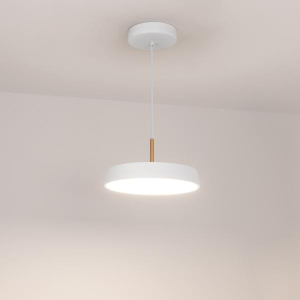 Подвесной светодиодный светильник Arlight Sp-Elegant-R300-17W Day4000 033919