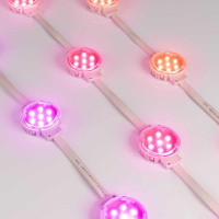 Светодиодный модуль Arlight SPI-F7-D50 24V RGB-RAM-Auto 036826