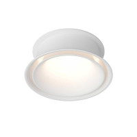 Влагозащищенный светильник Denkirs DK2403-WH