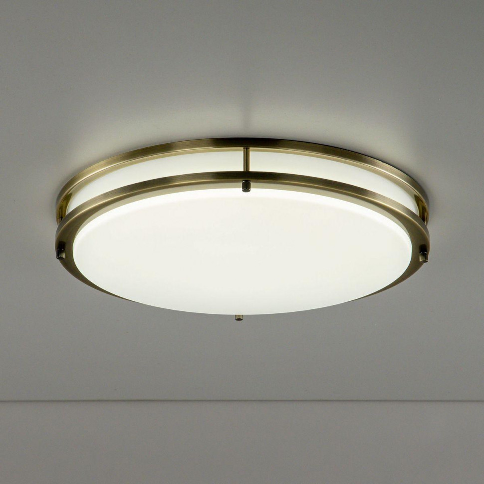 Настенно-потолочный светильник Citilux Бостон CL709503N