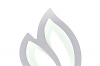 Бра Natali Kovaltseva Led Lamps 81108/1W