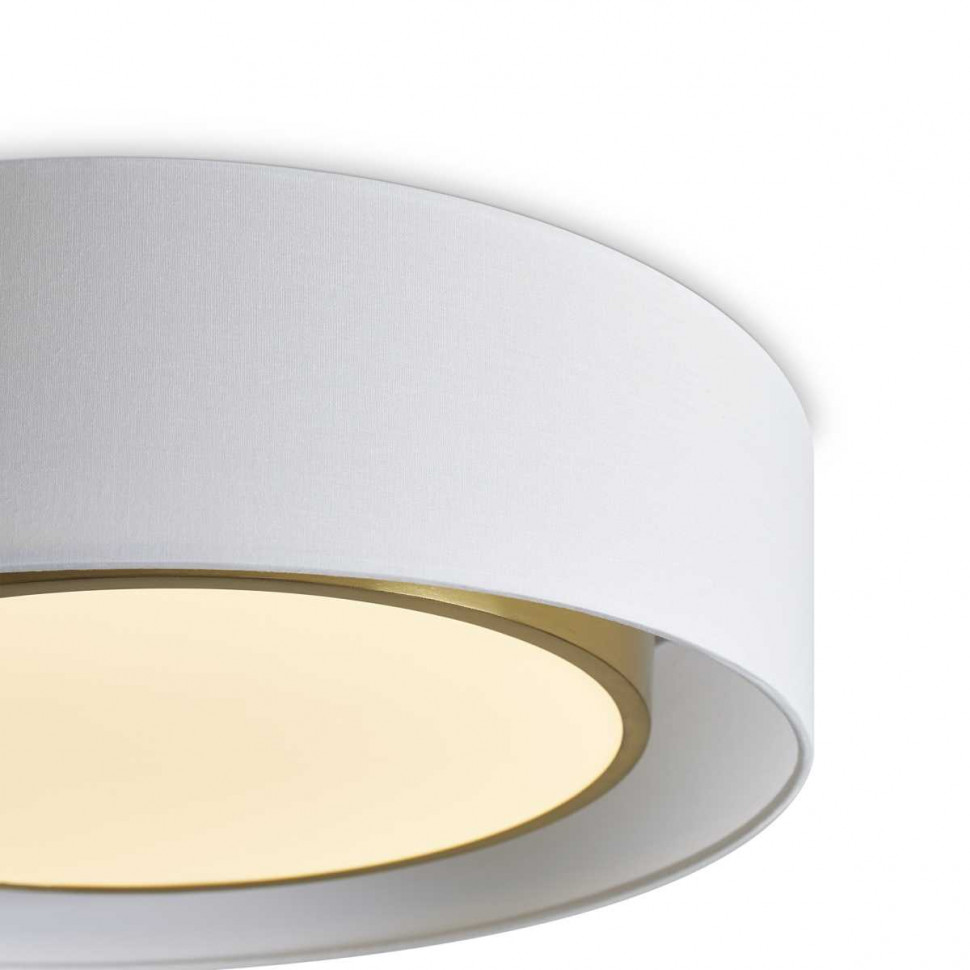 Потолочный светильник Freya Cozy FR6170CL-L52BS