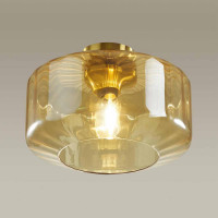 Потолочный светильник Odeon Light BINGA 4747/1C