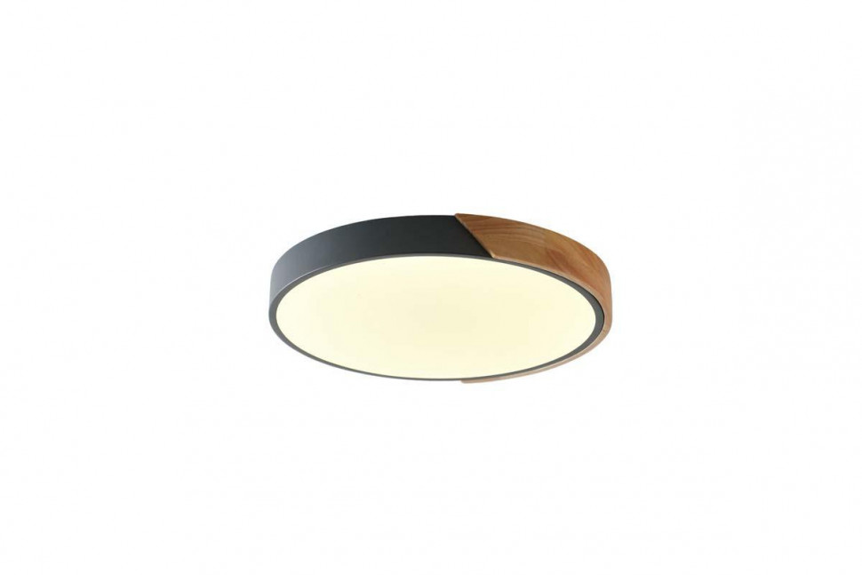 Потолочный светильник Zortes ALBERRO ZRS.01280.90