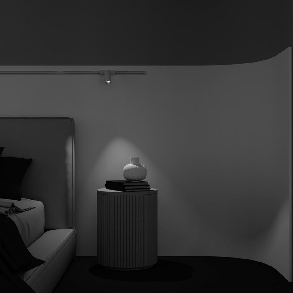 Трековый магнитный светильник Maytoni Focus LED TR103-1-12W3K-M-W