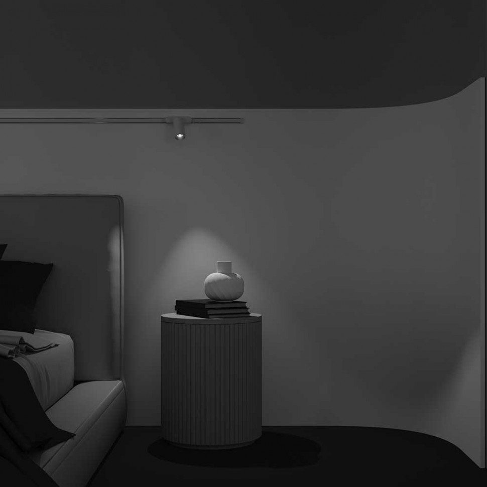 Трековый магнитный светильник Maytoni Focus LED TR103-1-12W3K-M-W