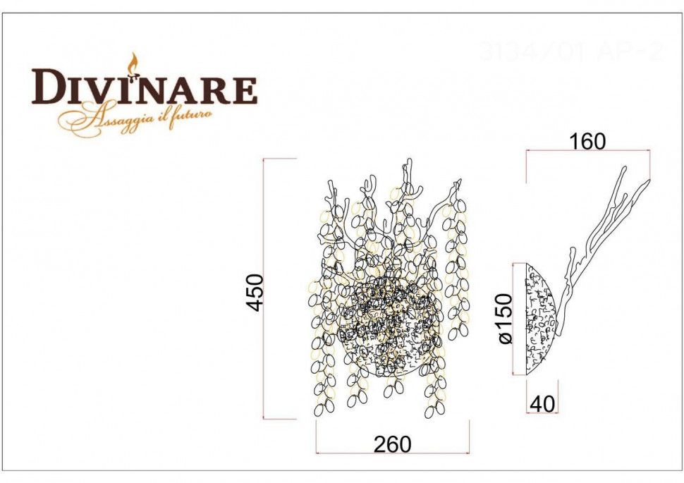 Настенный светильник Divinare Salice 3134/01 AP-2