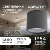 Уличный потолочный светильник Apeyron Graphite 11-115