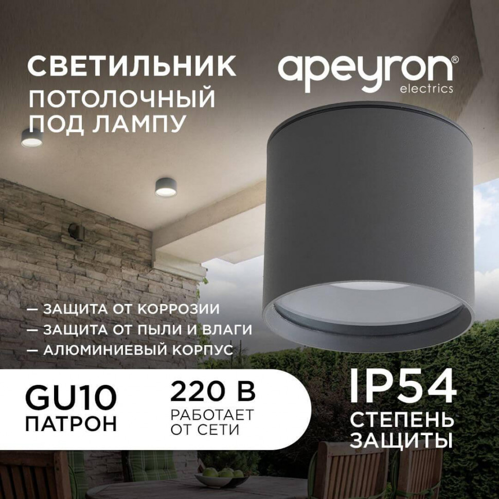Уличный потолочный светильник Apeyron Graphite 11-115