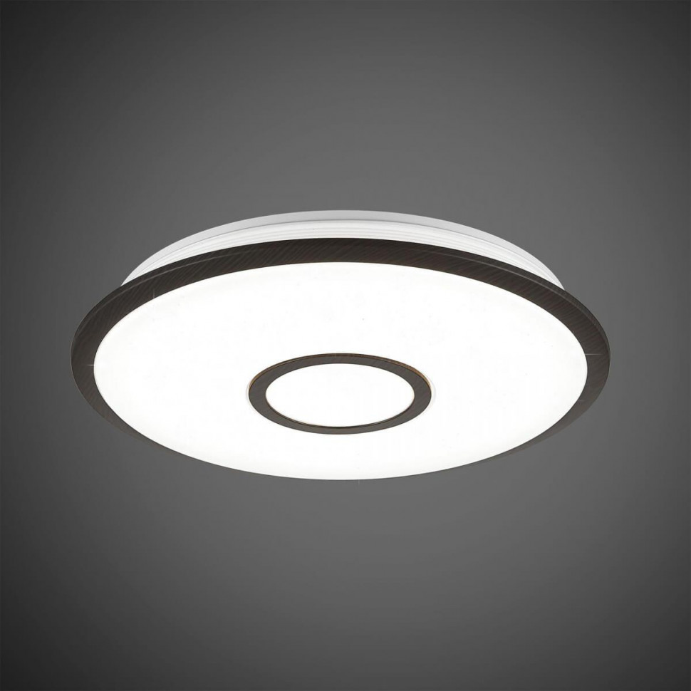 Потолочный светильник Citilux Старлайт Смарт CL703A45G