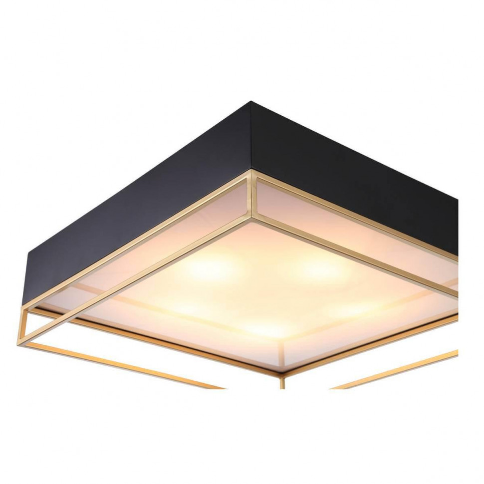 Накладная люстра ST-Luce SL1127.422.05