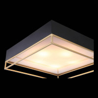 Накладная люстра ST-Luce SL1127.422.05