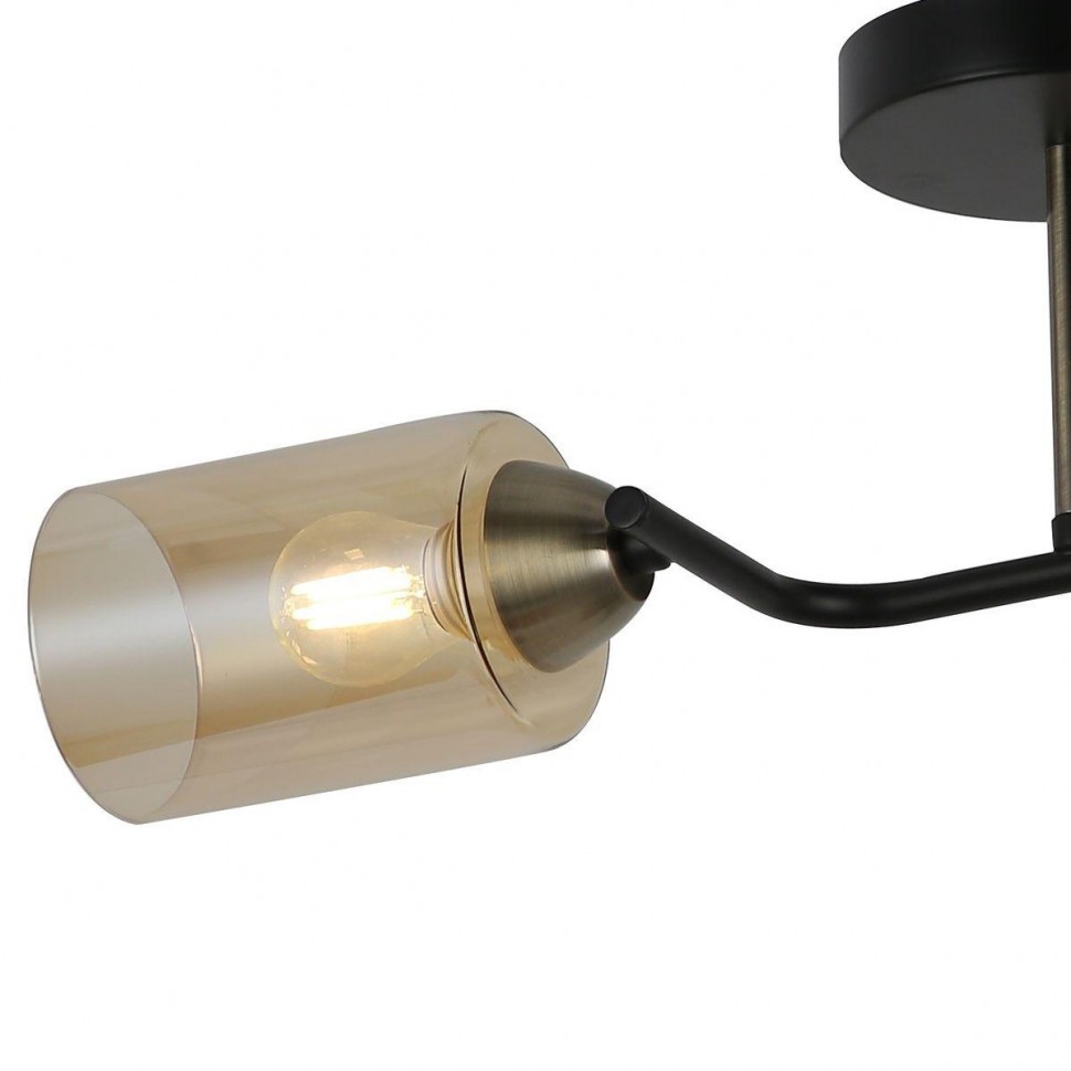 Потолочный светильник Illumico IL8148-2COU-79 BK BR