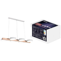 Подвесная люстра Ritter Racemo 51608 2