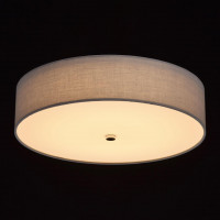 Потолочный светодиодный светильник MW-Light Дафна 3 453011401