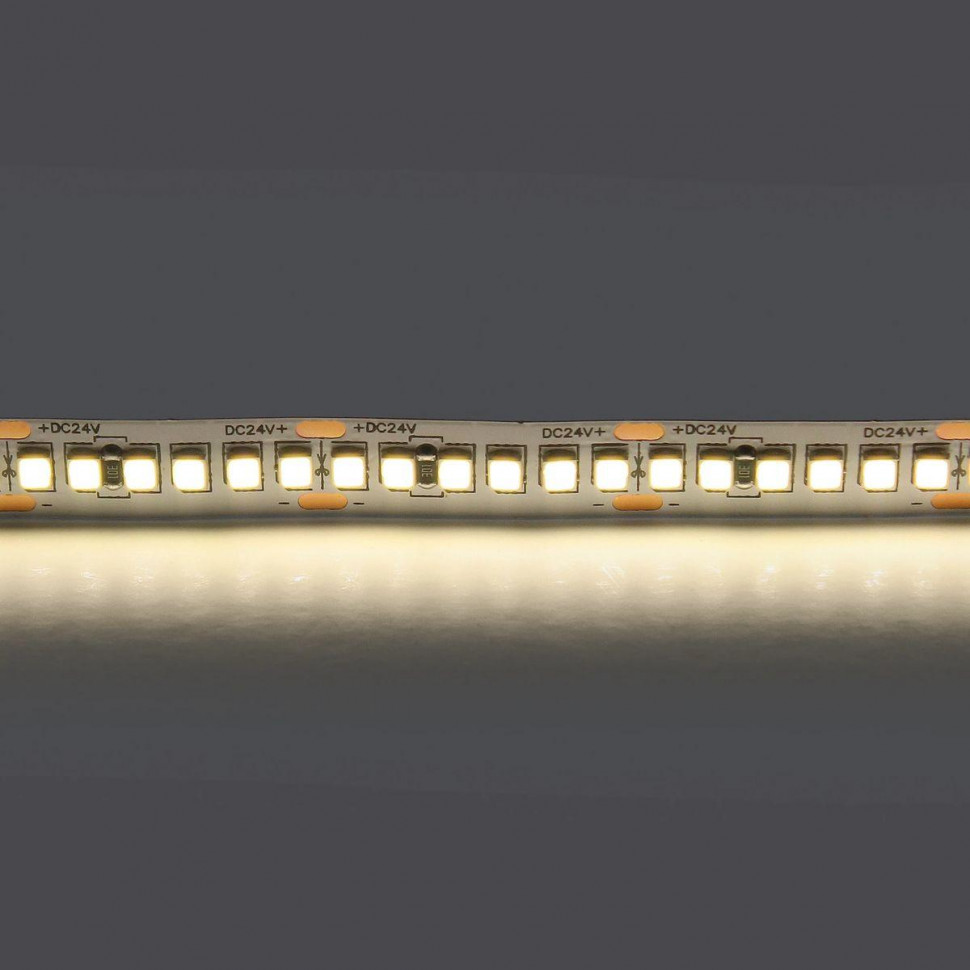 Светодиодная лента Lightstar 24W/m 240LED/m дневной белый 5M 421024