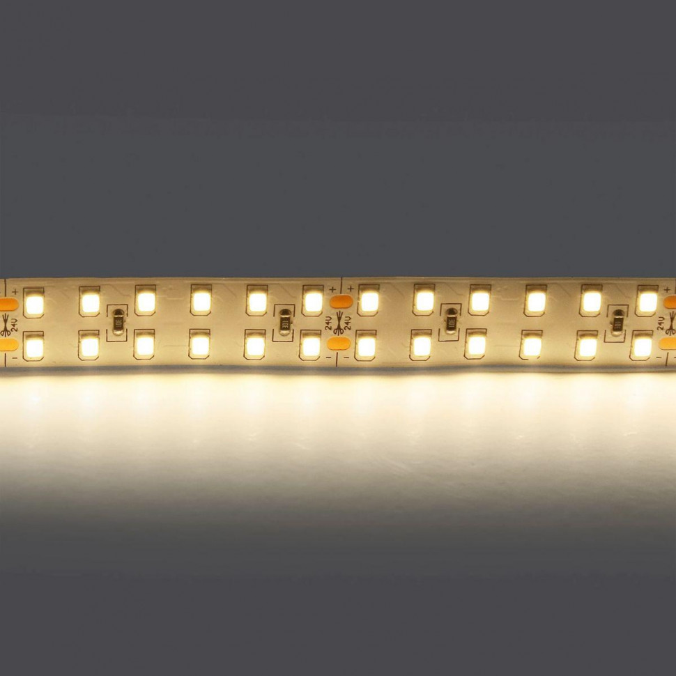 Светодиодная лента Lightstar 24W/m 240LED/m дневной белый 5M 421504