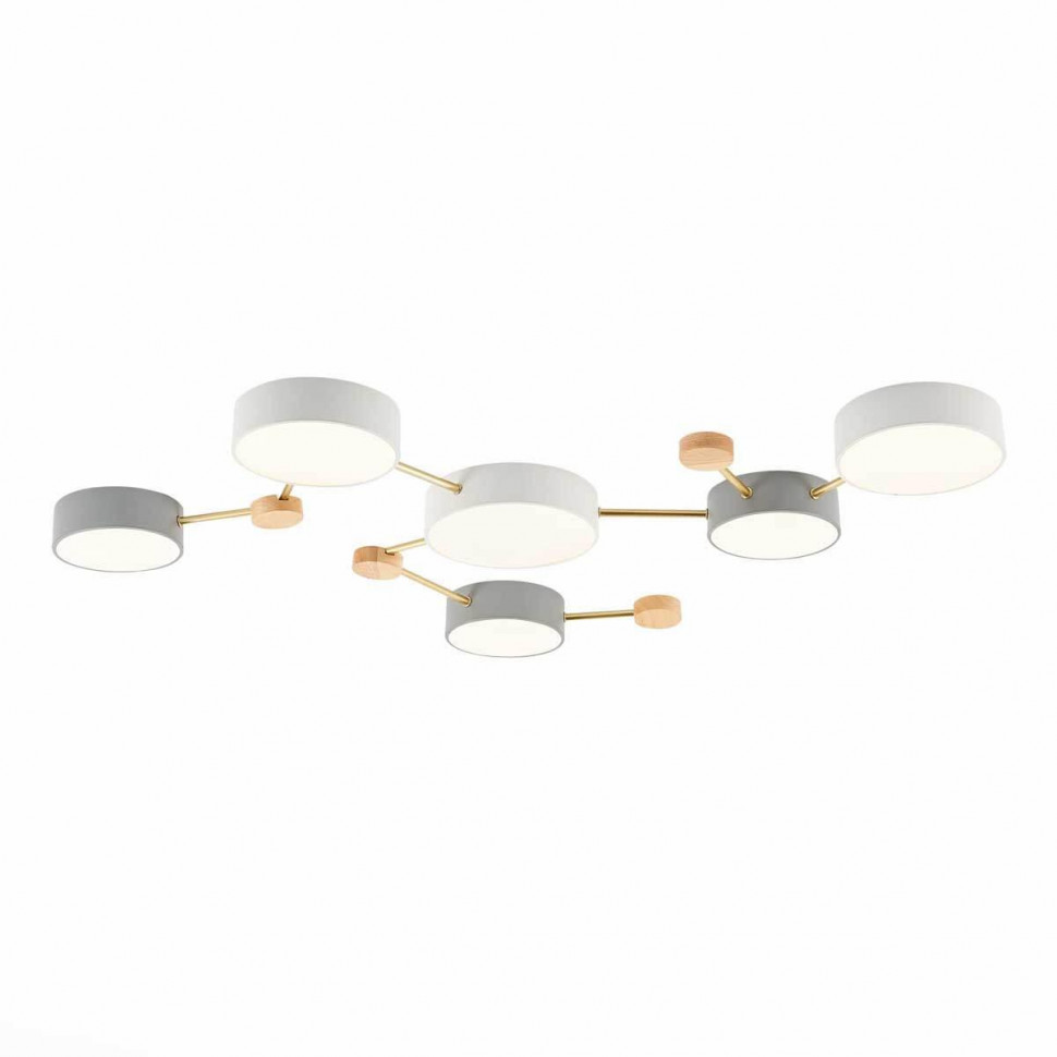 Потолочный светильник Evoluce Dossena SLE600102-06
