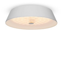 Потолочный светодиодный светильник Freya Cells FR10013CL-L24W