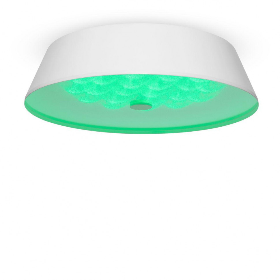 Потолочный светодиодный светильник Freya Cells FR10013CL-L24W