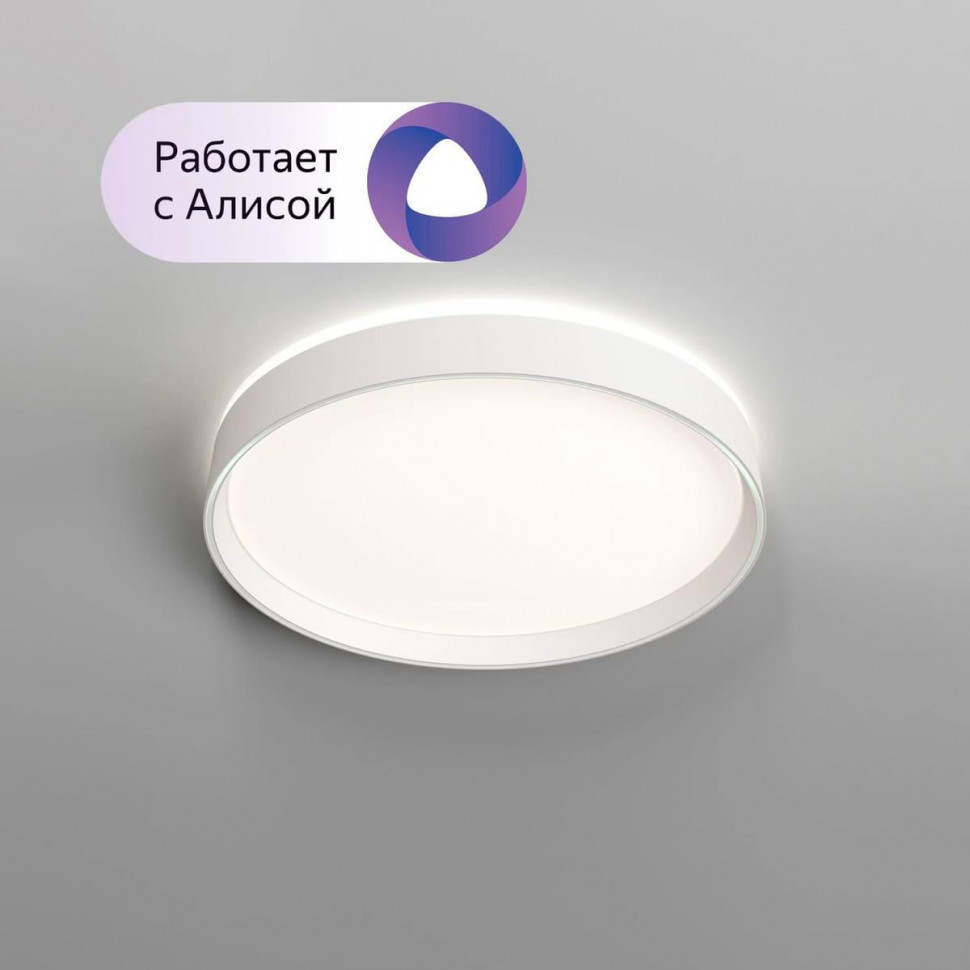 Потолочный светильник Denkirs Plato DK6511-WH/1