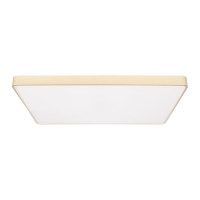 Потолочный светильник Loft IT Flims 10228/E