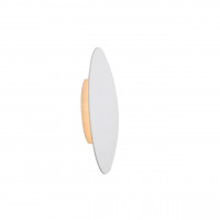 Настенный светодиодный светильник ST Luce Aureo SL457.501.01