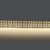 Светодиодная лента Lightstar 44W/m 360LED/m дневной белый 5M 423004
