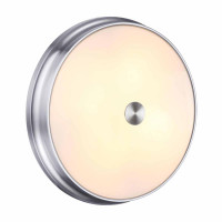 Потолочный светильник Odeon Light 4825/4C