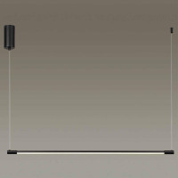 Подвесной светильник Odeon Light Fillini 4335/9L