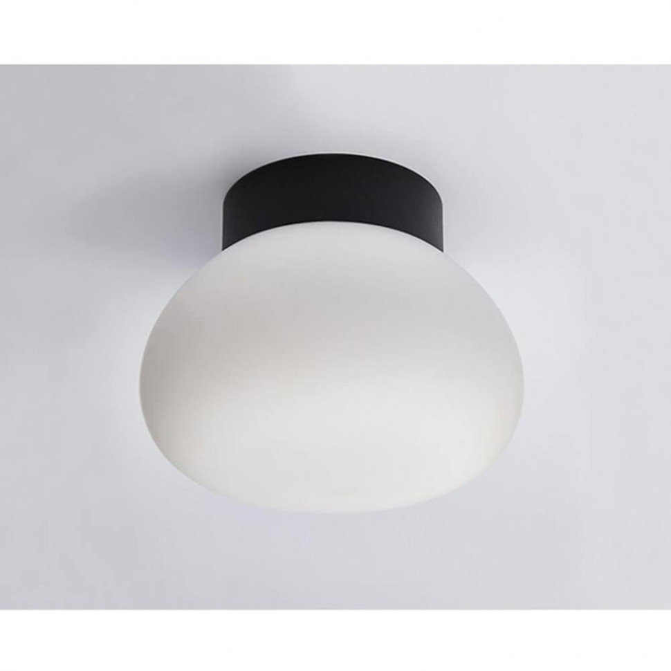Настенно-потолочный светильник Italline DL 3030 black