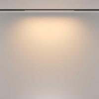 Трековый магнитный светильник Maytoni Basis TR173-1-16WTW-B