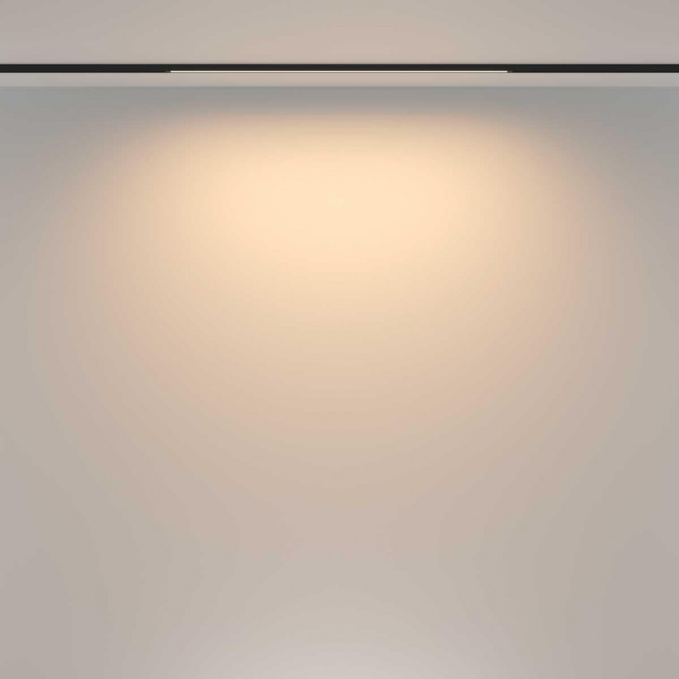 Трековый магнитный светильник Maytoni Basis TR173-1-16WTW-B