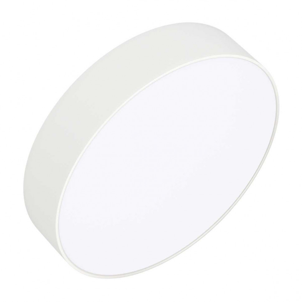 Потолочный светильник Arlight IM-RONDO-EMERGENCY-3H-R250-33W Day4000 (WH, 120 deg, 230V) 041061
