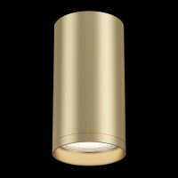 Потолочный светильник Maytoni FOCUS S C052CL-01MG
