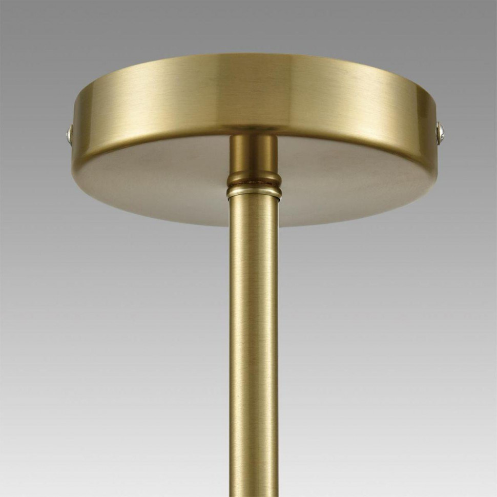 Люстра на штанге Lumion Aurica 8046/6C