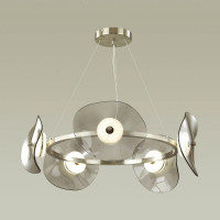 Подвесная светодиодная люстра Odeon Light L-vision Fluent 4858/48L