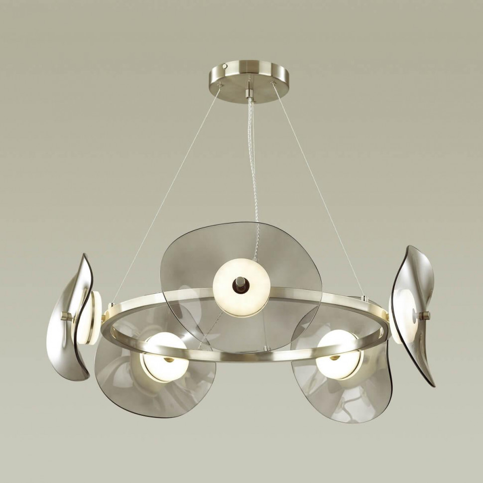 Подвесная светодиодная люстра Odeon Light L-vision Fluent 4858/48L