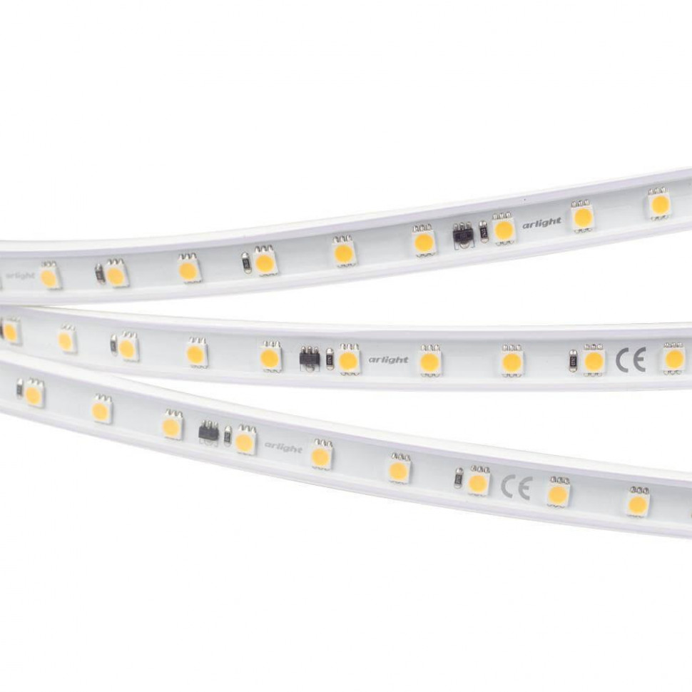 Светодиодная лента Arlight 8W/m 54LED/m 5060SMD холодный белый 50M 027055