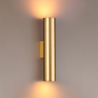 Настенный светодиодный светильник Odeon Light Dario 3833/2WA