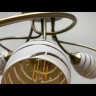 Потолочная люстра Lumion Dorothy 4528/6C