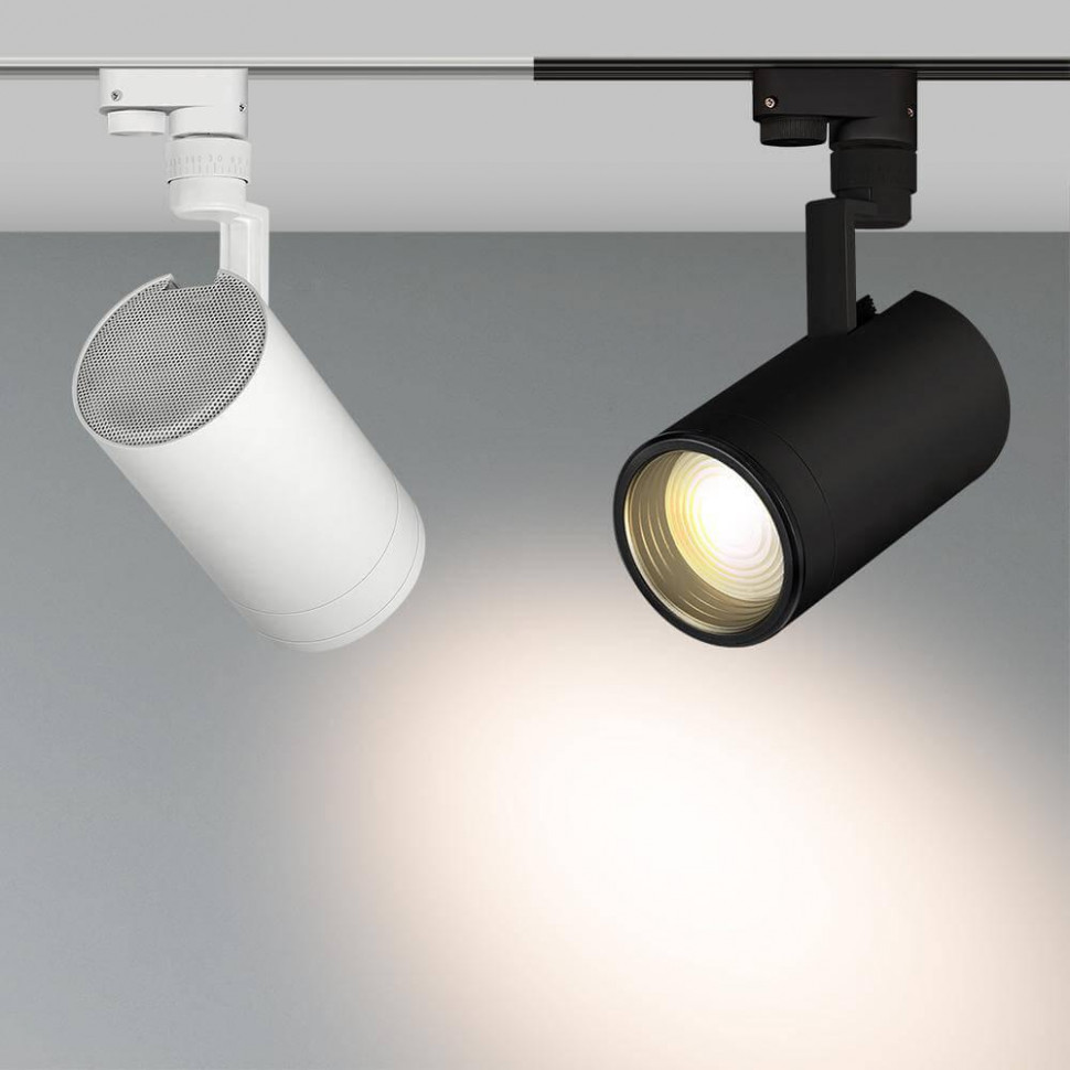 Трековый светильник Arlight LGD-ZEUS-2TR-R100-30W White6000 025932