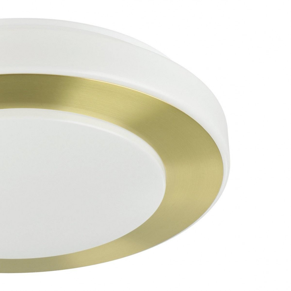 Потолочный светильник Eglo Led Carpi 900369
