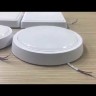 Настенно-потолочный светильник Feron AL3020 41771