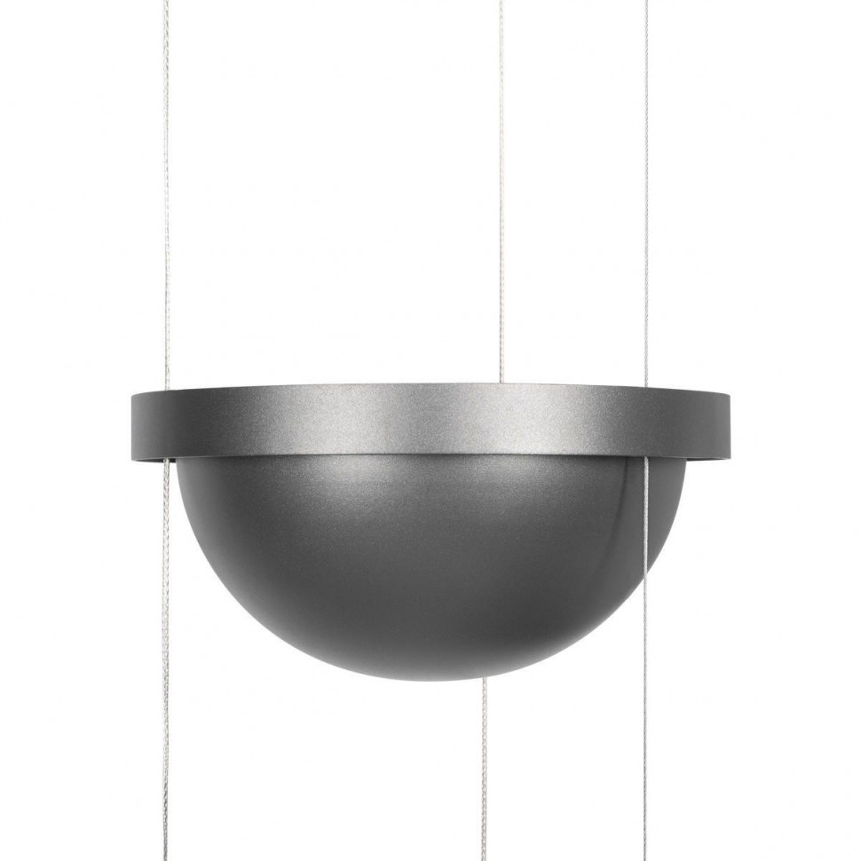 Подвесной светильник Loft IT Jardin 10121/2P Dark grey
