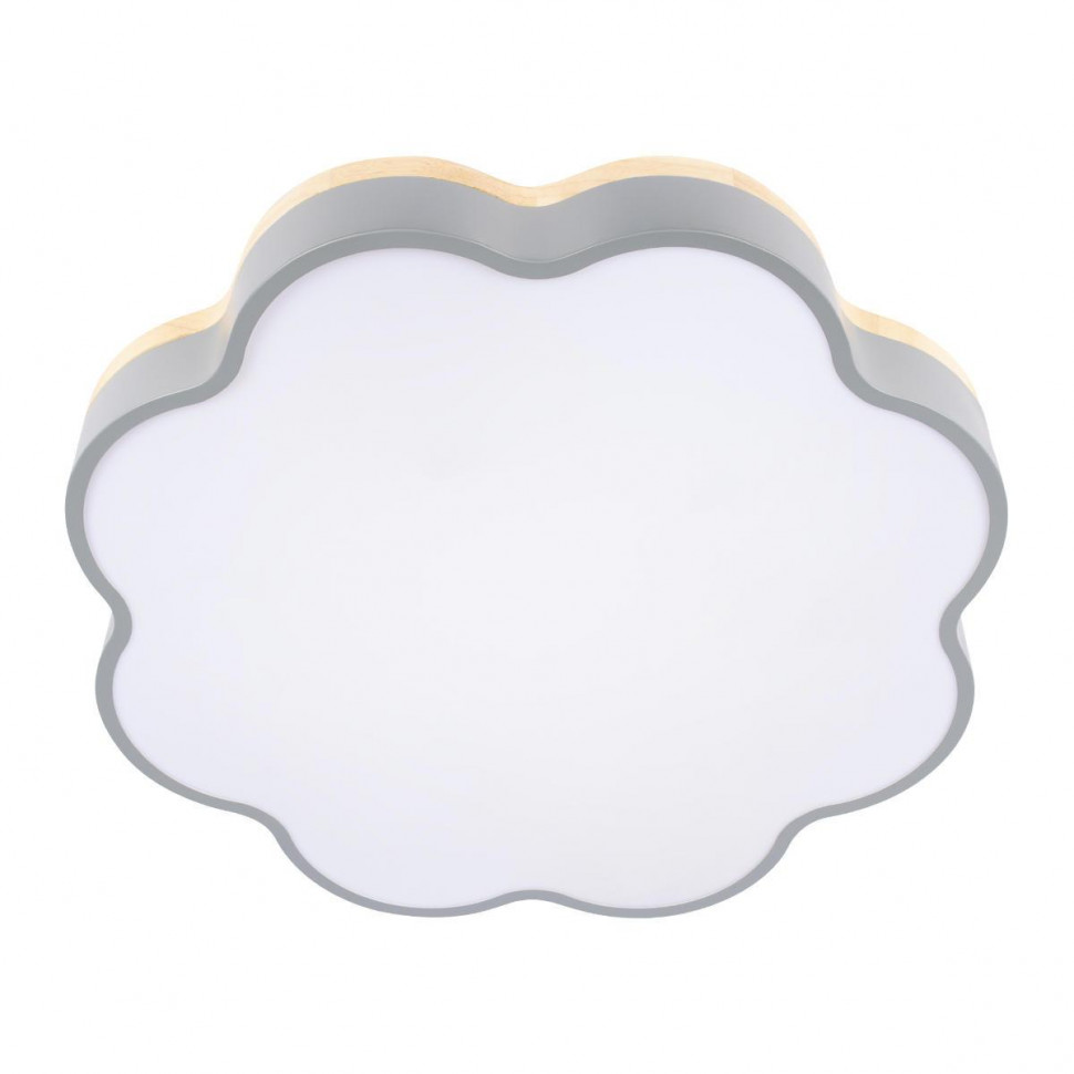 Потолочный светильник Loft IT Axel 10225/36 Grey