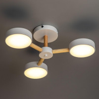 Люстра на штанге Ritter Scandia 51589 4