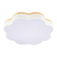 Потолочный светильник Loft IT Axel 10225/36 White